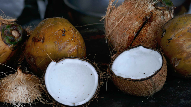coconut-shells